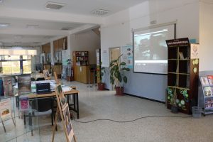 IMG_1