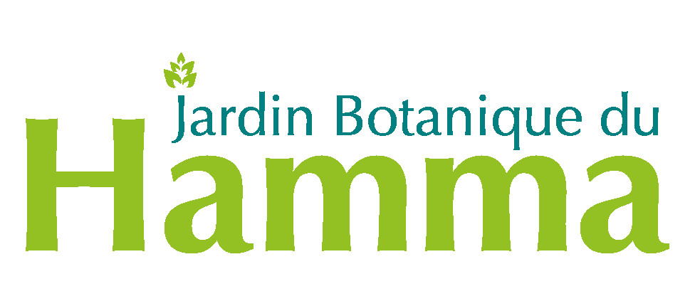 hamma-logo